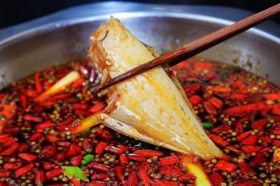 成都郫縣有沒(méi)有專業(yè)培訓(xùn)耗兒魚培訓(xùn)學(xué)校？