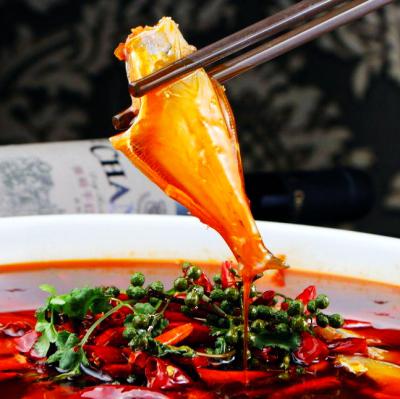 耗兒魚技術(shù)培訓(xùn)在哪里學(xué)？