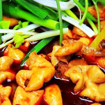肥腸雞技術(shù)培訓(xùn)要去哪里學(xué)？